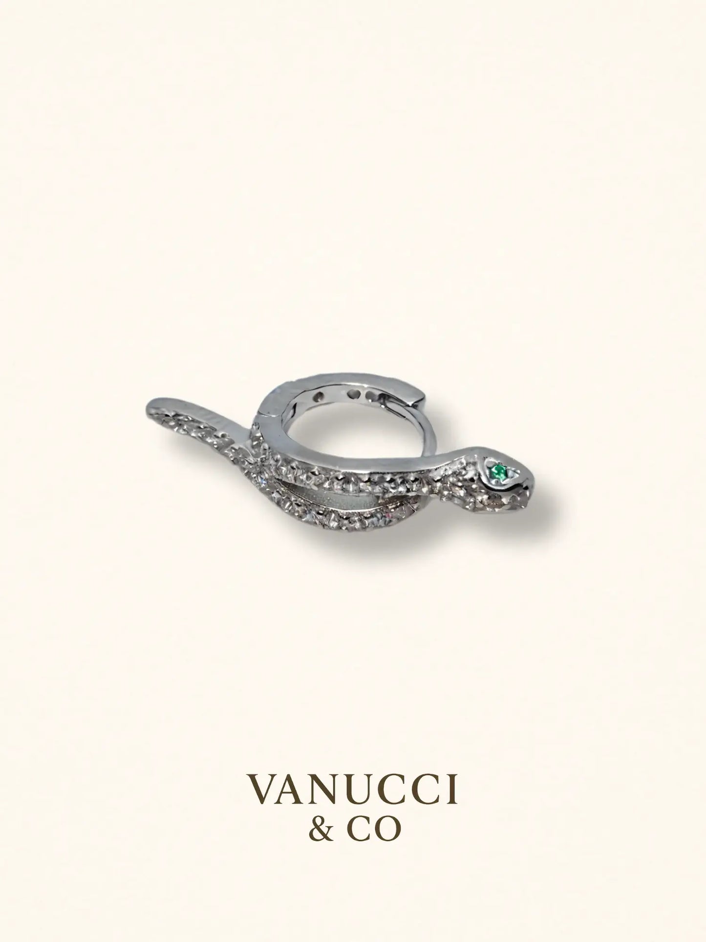 Arete Serpiente Plata 925 - VANUCCI & CO