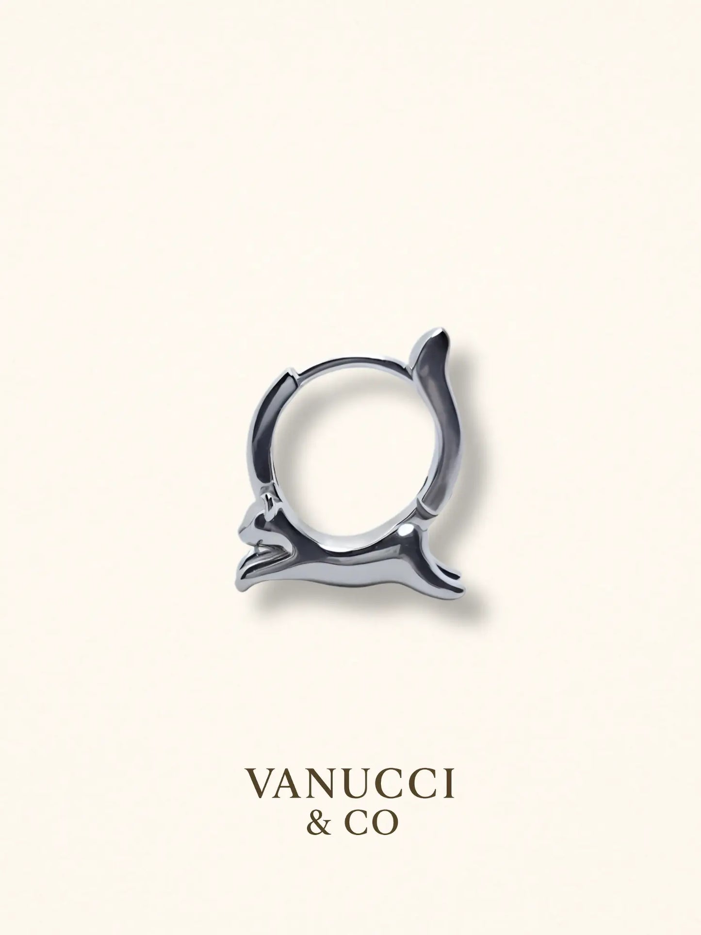 Arete Gato Plata 925 - VANUCCI & CO