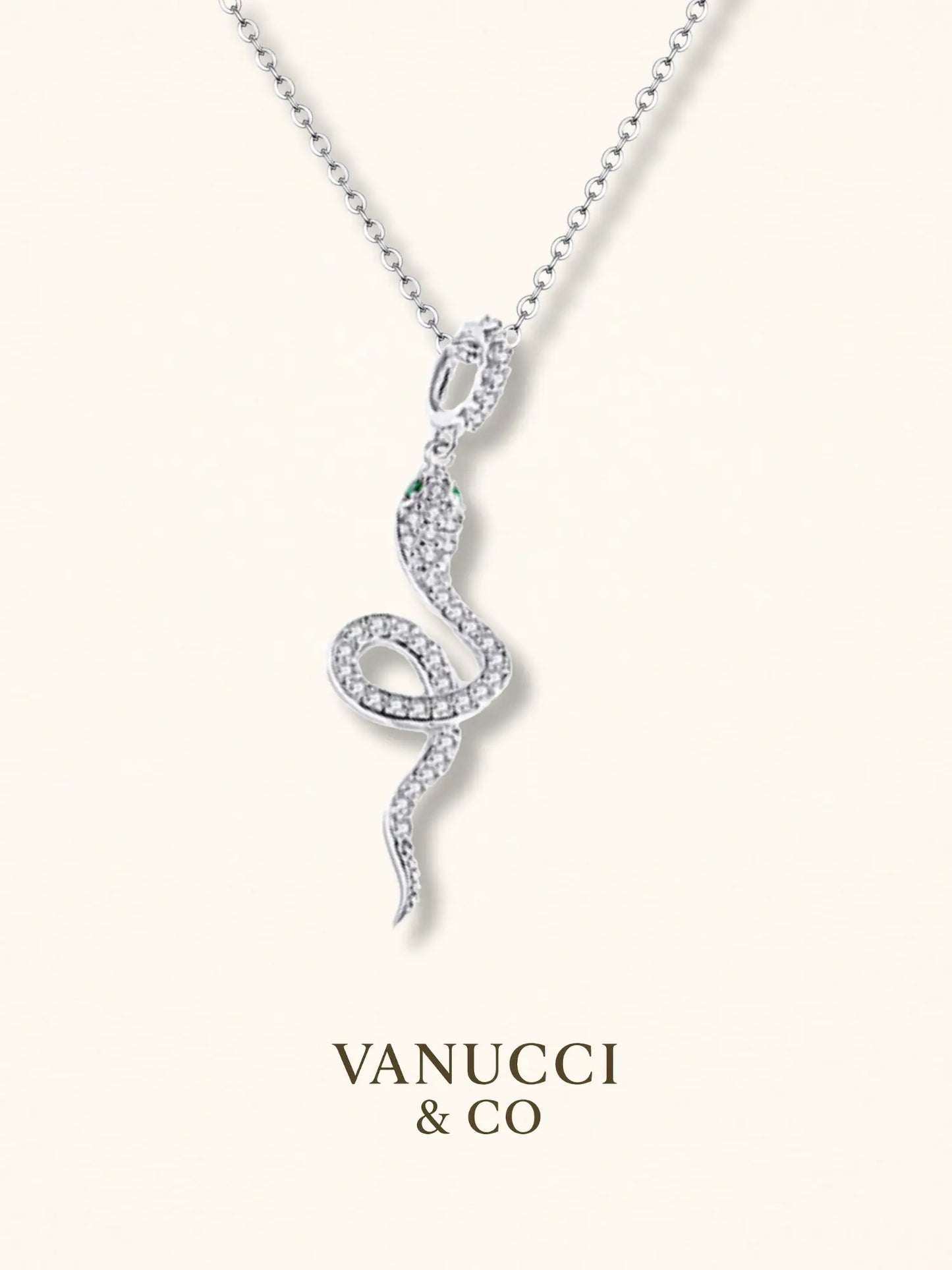 Collar Serpiente Plata 925 - VANUCCI & CO