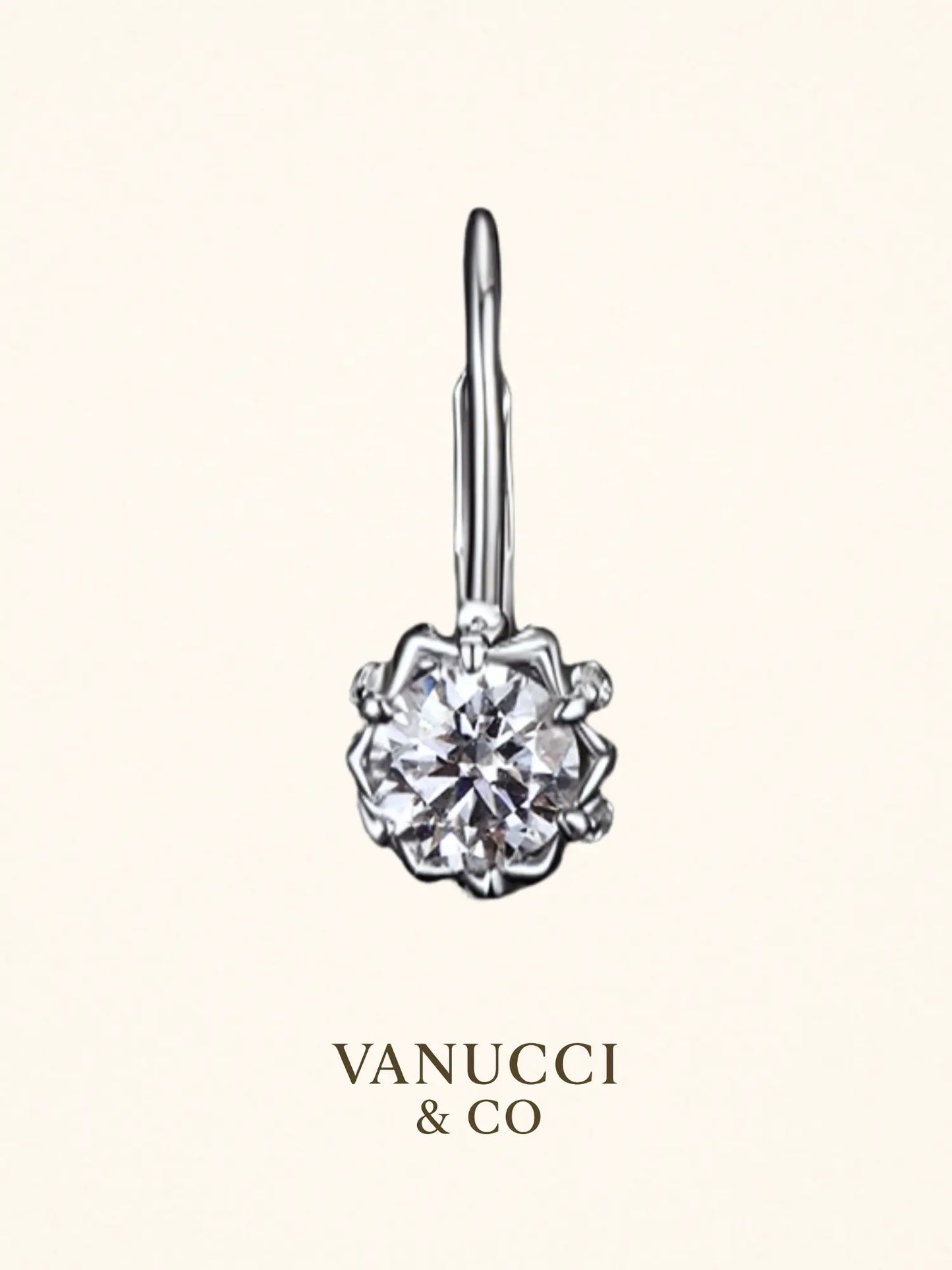 Arete Flor Plata 925 - VANUCCI & CO