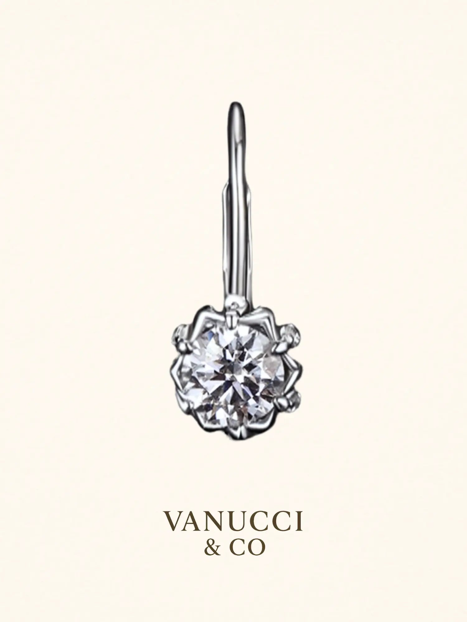 Arete Flor Plata 925 - VANUCCI & CO