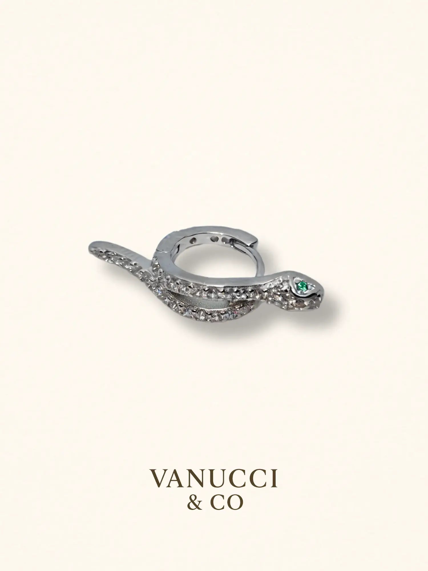 Arete Serpiente Plata 925 - VANUCCI & CO
