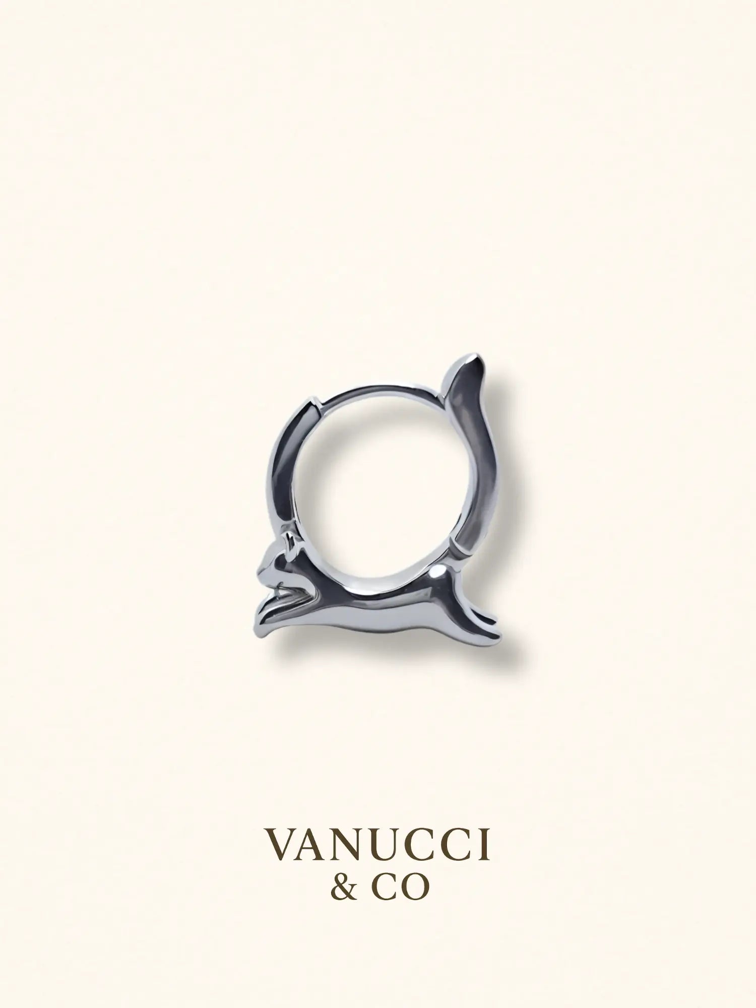 Arete Gato Plata 925 - VANUCCI & CO