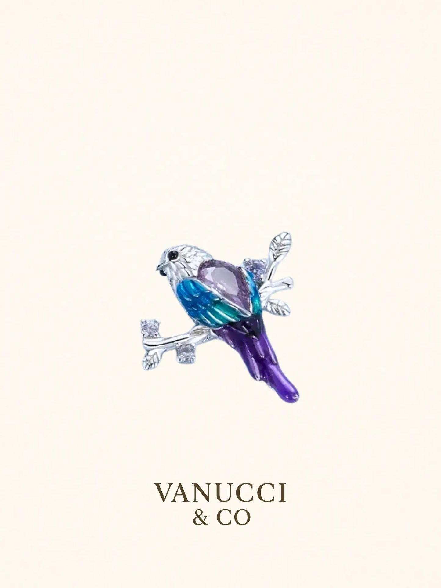 Arete Ave Plata 925 - VANUCCI & CO
