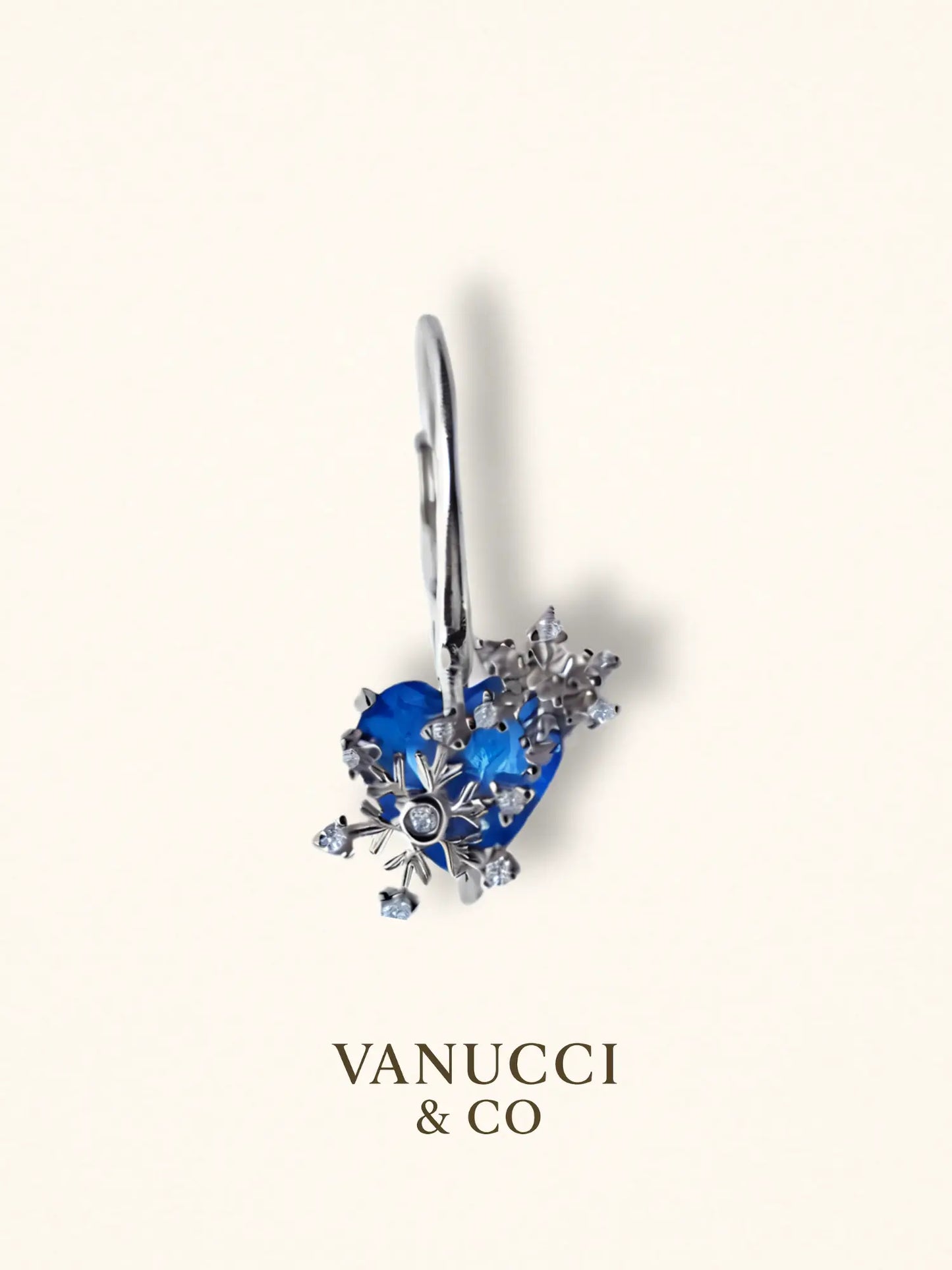 Arete Corazón Plata 925 - VANUCCI & CO