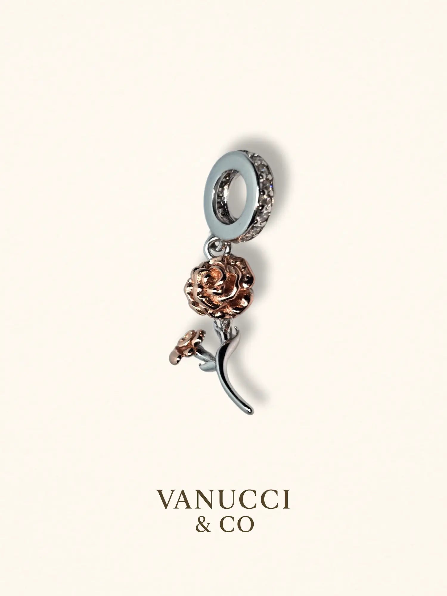 Charm Rosa Plata 925 - VANUCCI & CO