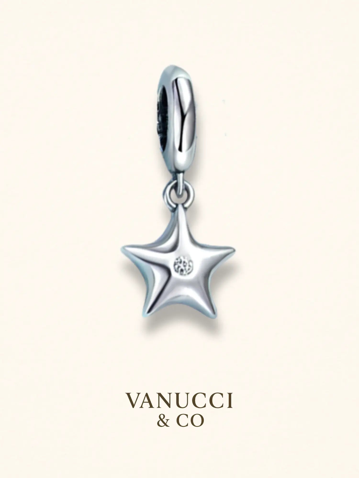 Charm Estrella Plata 925 - VANUCCI & CO