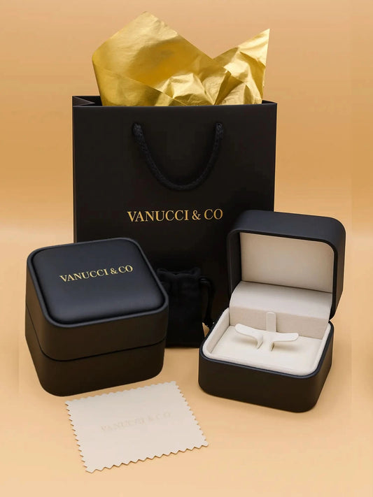 Arete Corazón Plata 925 - VANUCCI & CO