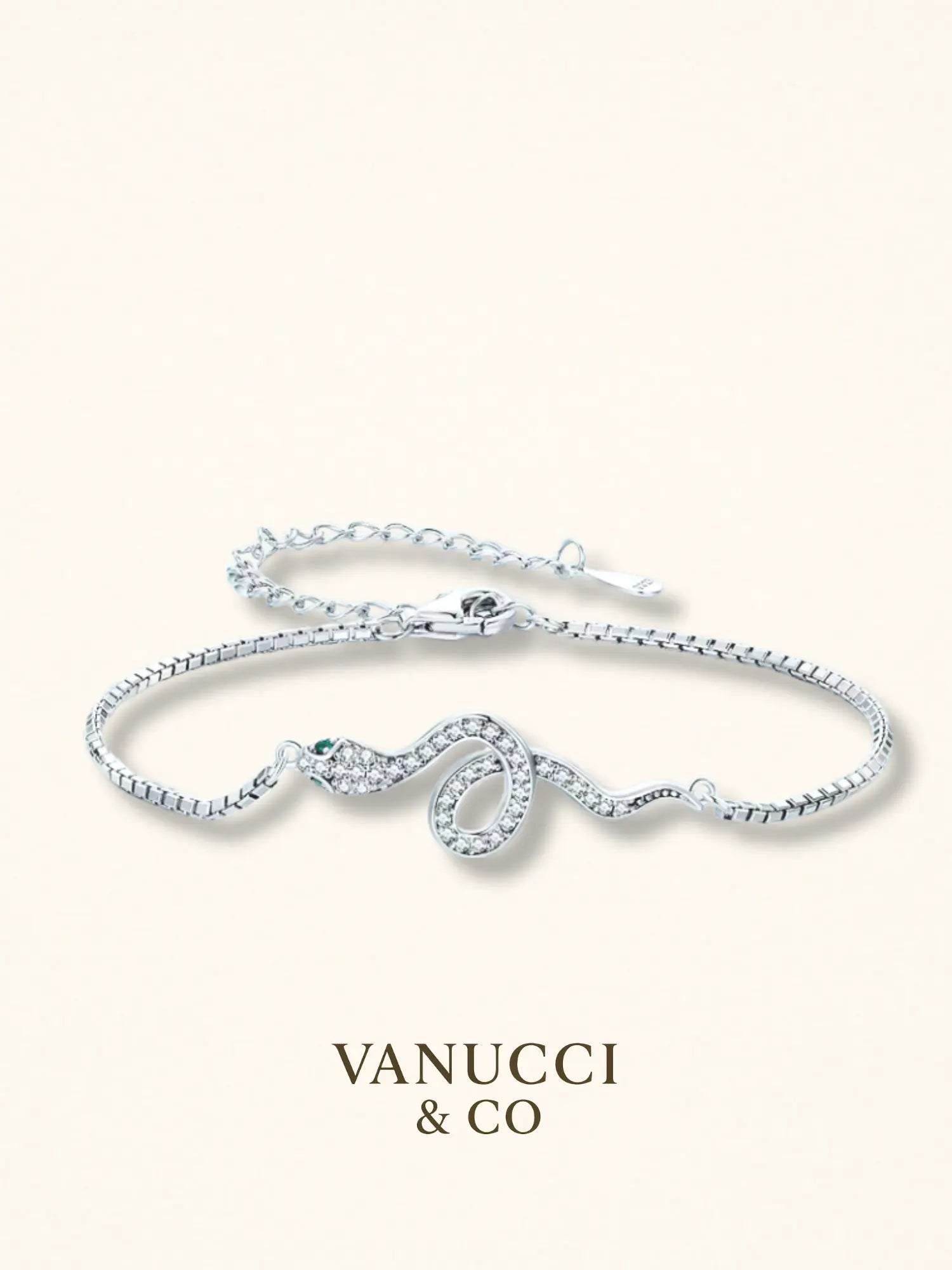 Pulsera Serpiente Plata 925 - VANUCCI & CO